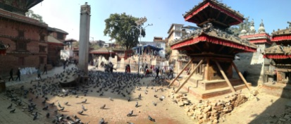 Pigeons in Durbar